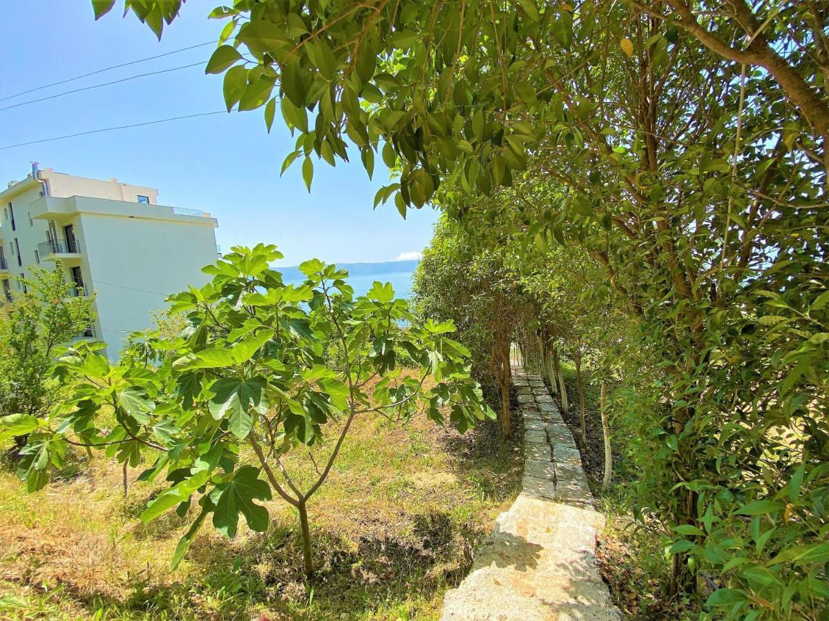 Ramo'S Green Beachside Retreat - Cozy 2 Bedroom Home Vlorë Buitenkant foto