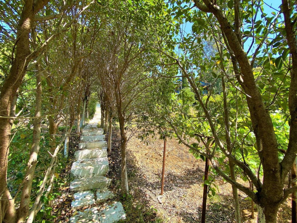 Ramo'S Green Beachside Retreat - Cozy 2 Bedroom Home Vlorë Buitenkant foto